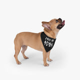 Son of Odin Pet Bandana