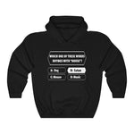 House Rhymes With Satan - Pullover Hoodie Sweatshirt